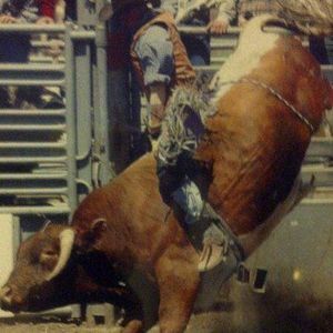 Meet your Posher, Arthur